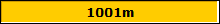 1001m