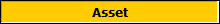 Asset