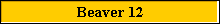 Beaver 12