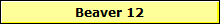 Beaver 12