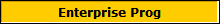 Enterprise Prog