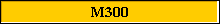 M300