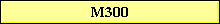M300