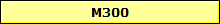 M300
