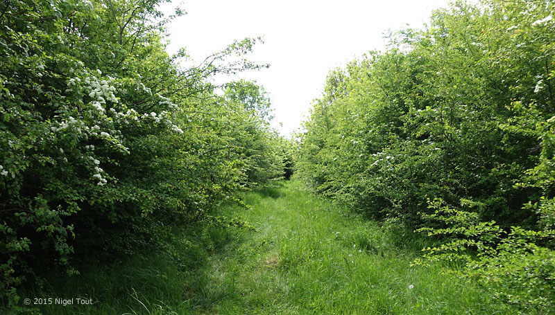 GCR track bed near Thurcaston Road, Leicester GCR track bed near Thurcaston Road, Leicester